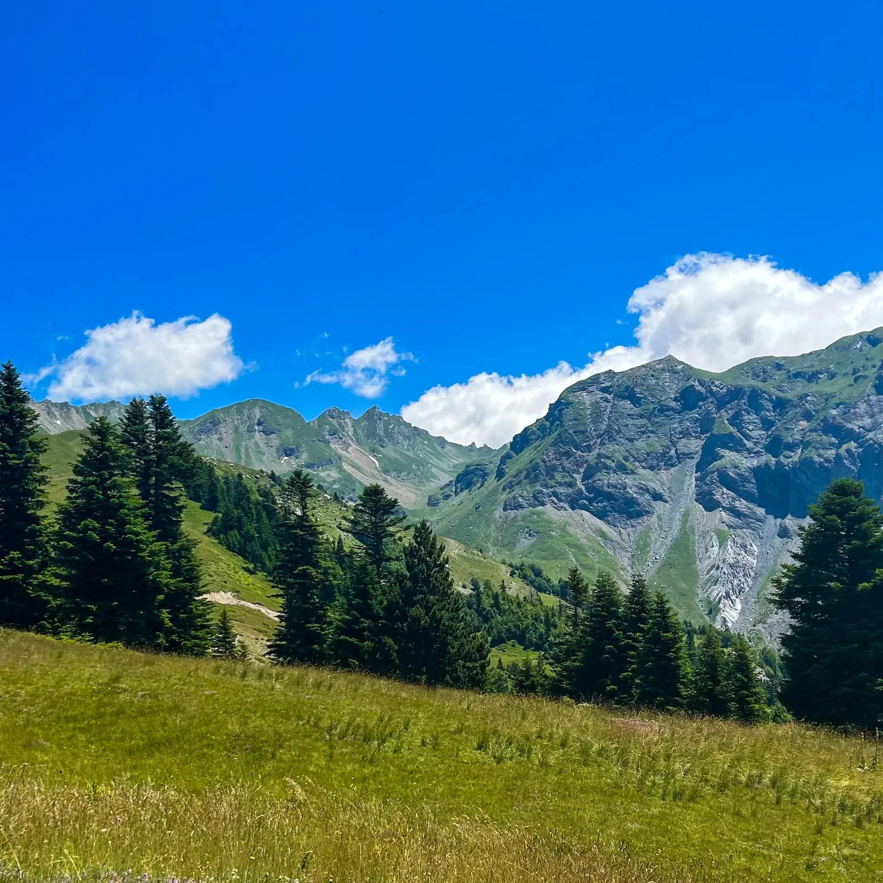 Parku Natyror Korab–Koritnik